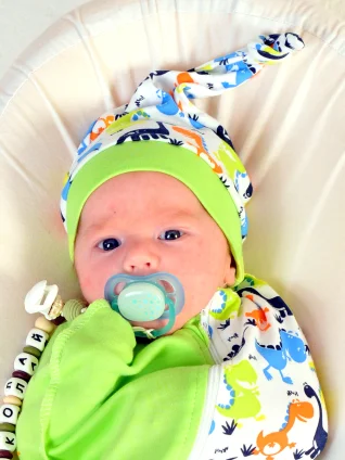 Серия Дино-Совы