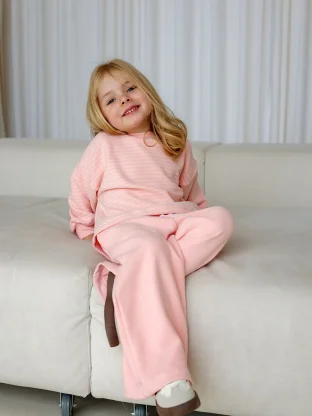 Костюм (брюки, джемпер) арт. 1740/304