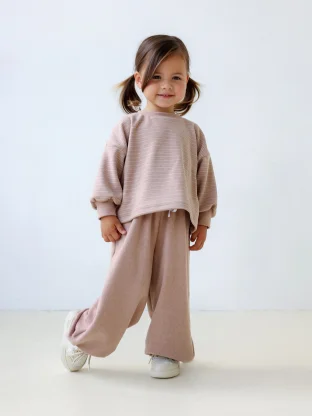 Костюм (брюки, джемпер) арт. 1740/306