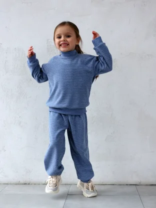 Костюм (брюки, джемпер) арт. 1742/307